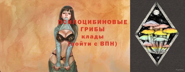 хмурый Абинск