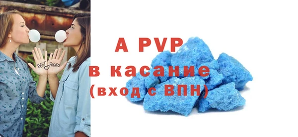 стафф Алексин