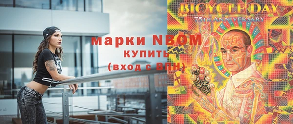 стафф Алексин