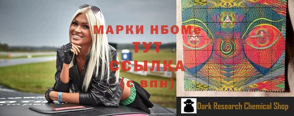стафф Алексин