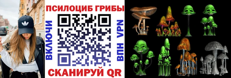 как найти закладки  Ужур  Псилоцибиновые грибы GOLDEN TEACHER 