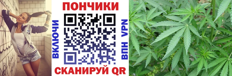 Бошки марихуана Amnesia хочу наркоту даркнет как зайти Ужур